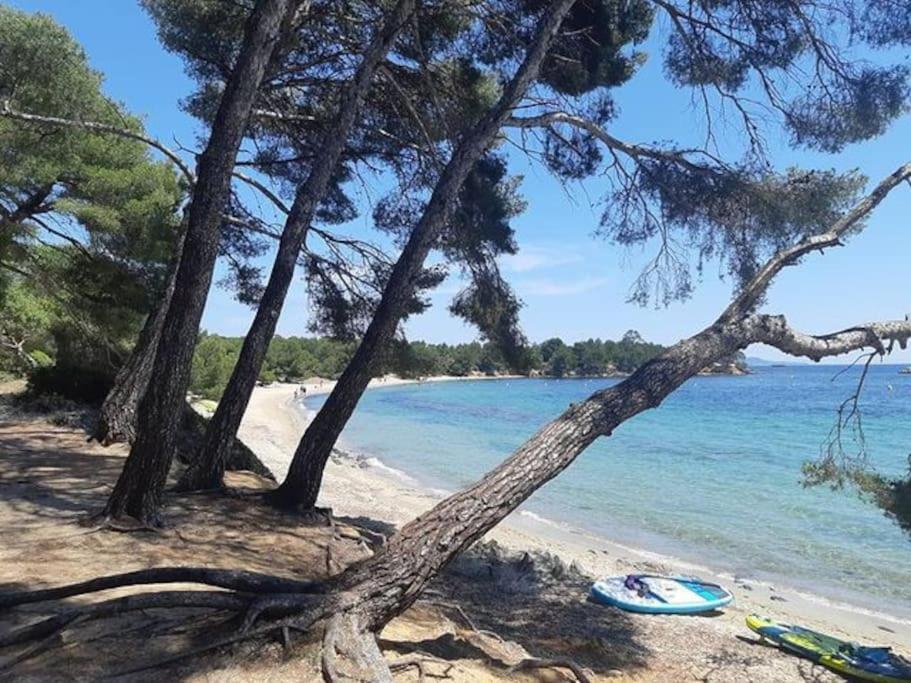 Studio Cabine Climatise 800 M De La Plage Et Des Commerces Bormes-les-Mimosas Exteriér fotografie