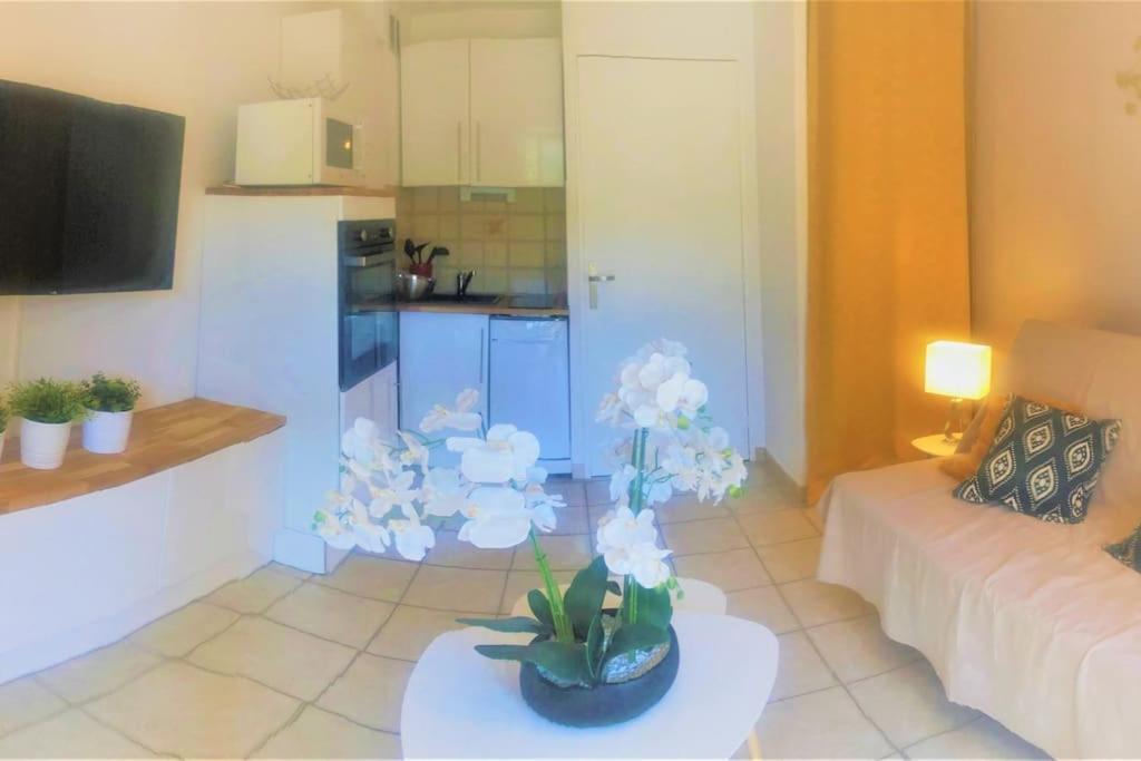 Studio Cabine Climatise 800 M De La Plage Et Des Commerces Bormes-les-Mimosas Exteriér fotografie